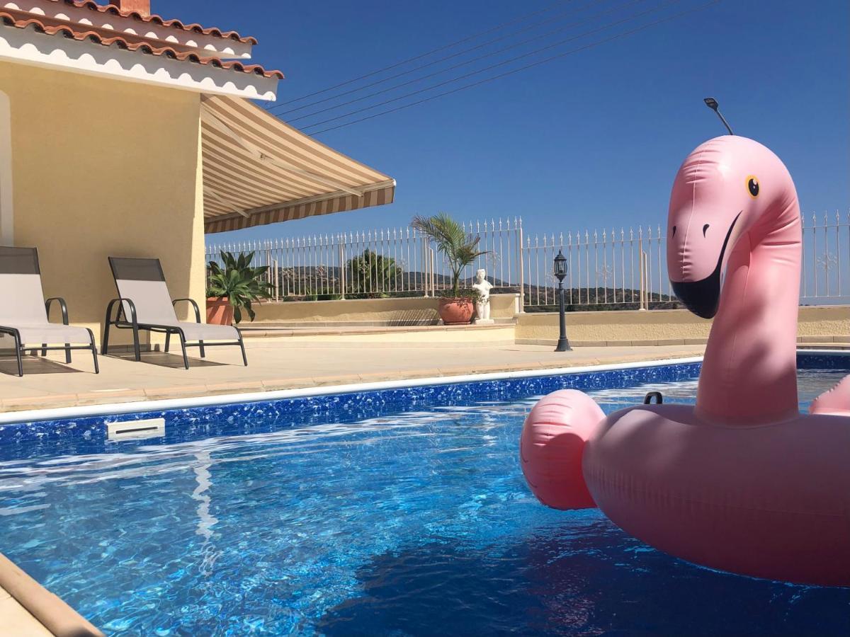 Peyia Palm Villa Paphos Exterior photo